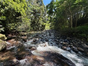 Miscellaneous - Enchanting 4-Bedroom Rainforest Cottage with a Beautiful River Setting (Luquillo)