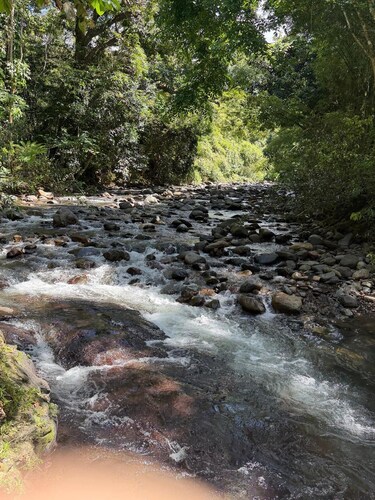 Enchanting 4-Bedroom Rainforest Cottage with a Beautiful River Setting