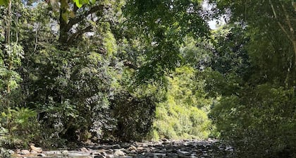 Enchanting 4-Bedroom Rainforest Cottage with a Beautiful River Setting