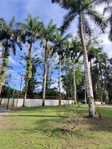 Enchanting 4-Bedroom Rainforest Cottage with a Beautiful River Setting