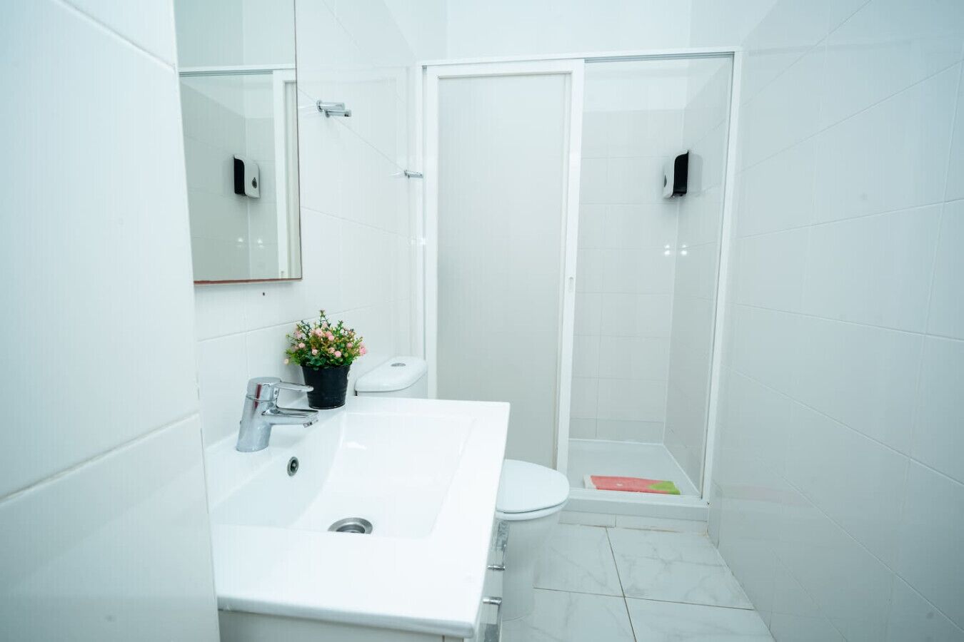 Secadora de cabello, toallas, jabón, papel de baño 