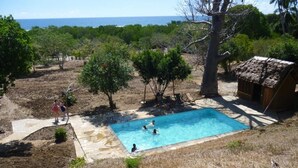 Una piscina con gente, rodeada de árboles y una cabaña con techo de paja.