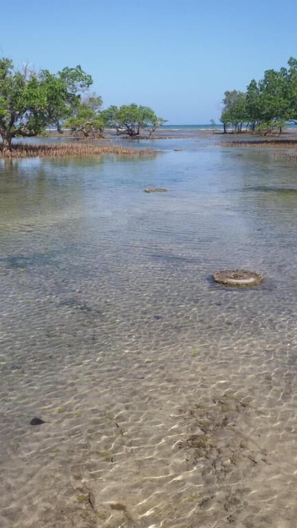 A clear shallow water body with visible submerged rocks and sparse vegetation.