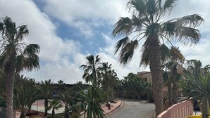 Una strada curva fiancheggiata da palme e un corrimano rosso, che conduce a un edificio con tetto rosso.