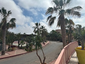 A curved road lined with palm trees and a red railing, leading to a building with a red roof. - Havre de Paix Ocean View in Mirleft By Evasion Prestige Ocean (Tiznit)