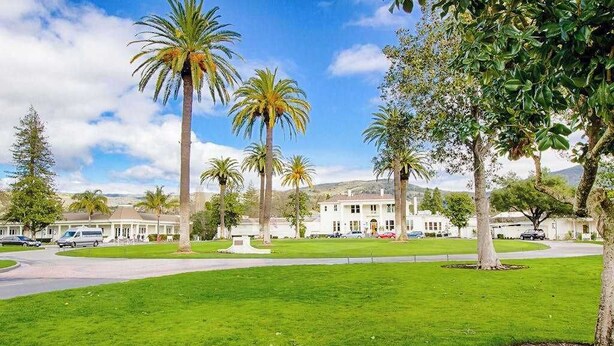A well-maintained lawn with palm trees, a white building with a driveway, and parked cars.