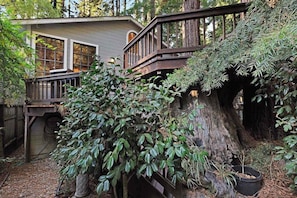 A house with a wooden deck, surrounded by trees and foliage.
