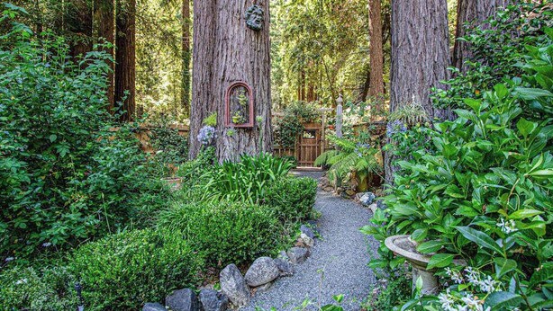 Un giardino alberato con un vialetto sterrato, alberi secolari e un cancello in legno.