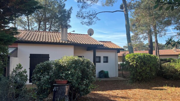 A house with a tiled roof, a satellite dish, and a small garden with a tree stump and a potted plant.