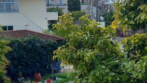 Un balcón con barandilla metálica, vista a un jardín con diversas plantas y un área residencial al fondo.