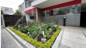 Un edificio moderno con un jardín ajardinado que presenta diversas plantas y un sendero.