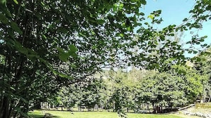 Una mesa de picnic en un parque con césped, árboles y una valla al fondo.