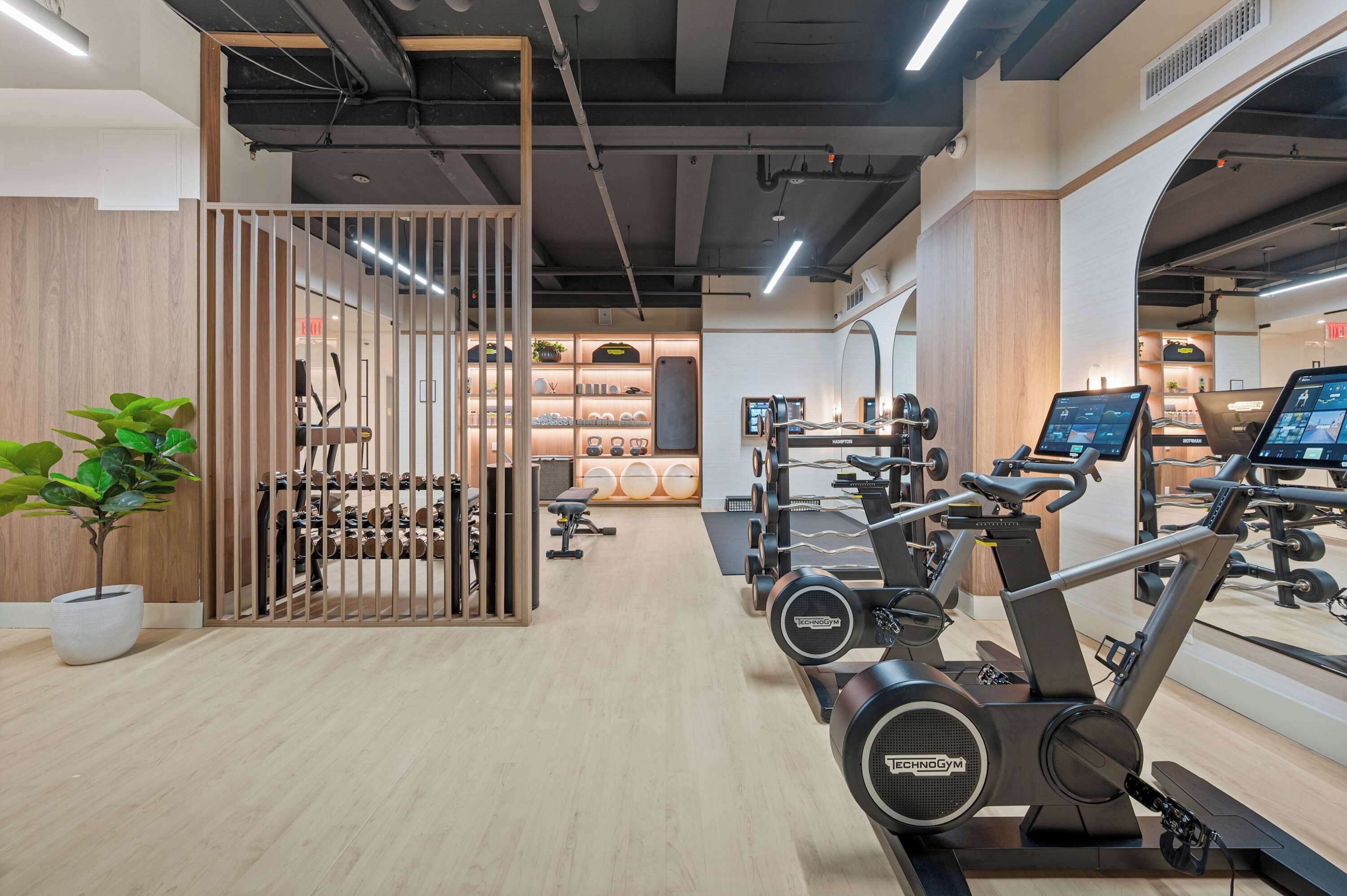 A gym with exercise equipment, a wooden partition, and a potted plant.
