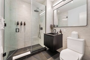 Chuveiro, secador de cabelo, toalhas de banho, shampoo