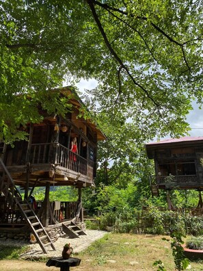 Chalet, Mountain View | Exterior - Zeni de Vore Serender & House (Ardeşen)