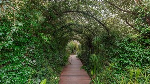 A pathway surrounded by dense greenery. - MBH | Laguna King Suite (Diso Spongano)