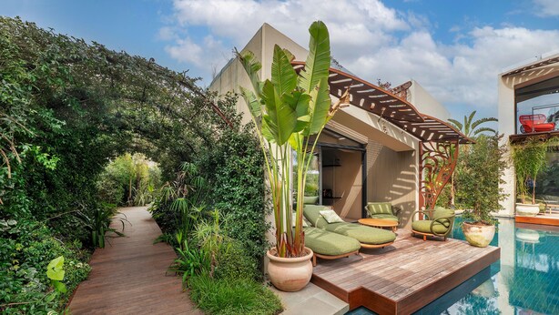 A poolside area with a wooden deck, green lounge chairs, and a potted plant. - MBH | Laguna King Suite (Diso Spongano)