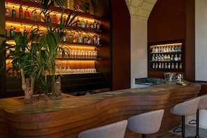 A bar area with a curved wooden counter, multiple shelves of liquor bottles, and a potted plant.