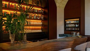 A bar area with a curved wooden counter, multiple shelves of liquor bottles, and a potted plant.
