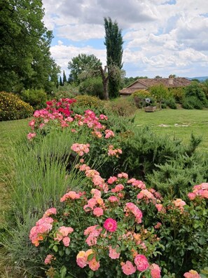 A garden with pink roses, green shrubs, and a house with a tiled roof. - Cottage in Umbria with private garden and pool (Umbria)