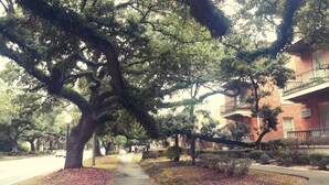 A tree-lined street with a brick building on the right. - Cozy Vintage Studio Close To Downtown (Mobile)