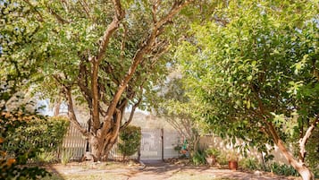 Classic Cottage, 4 Bedrooms, Kitchen | Property grounds