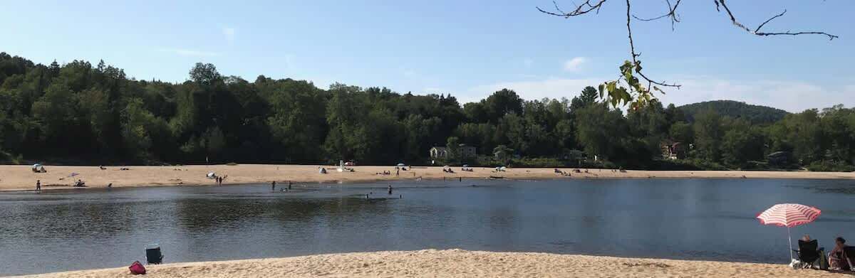 Blick auf einen See mit Sandstrand, Bäumen und blauem Himmel.