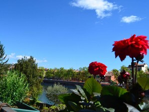 A garden with red flowers, a river, and buildings in the background. - Adige View Suite (Verona)