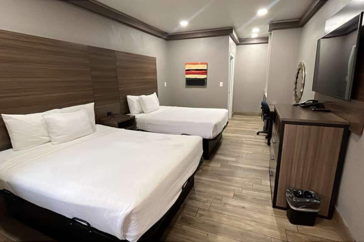 A hotel room with two beds, a TV, a desk, and a trash bin.