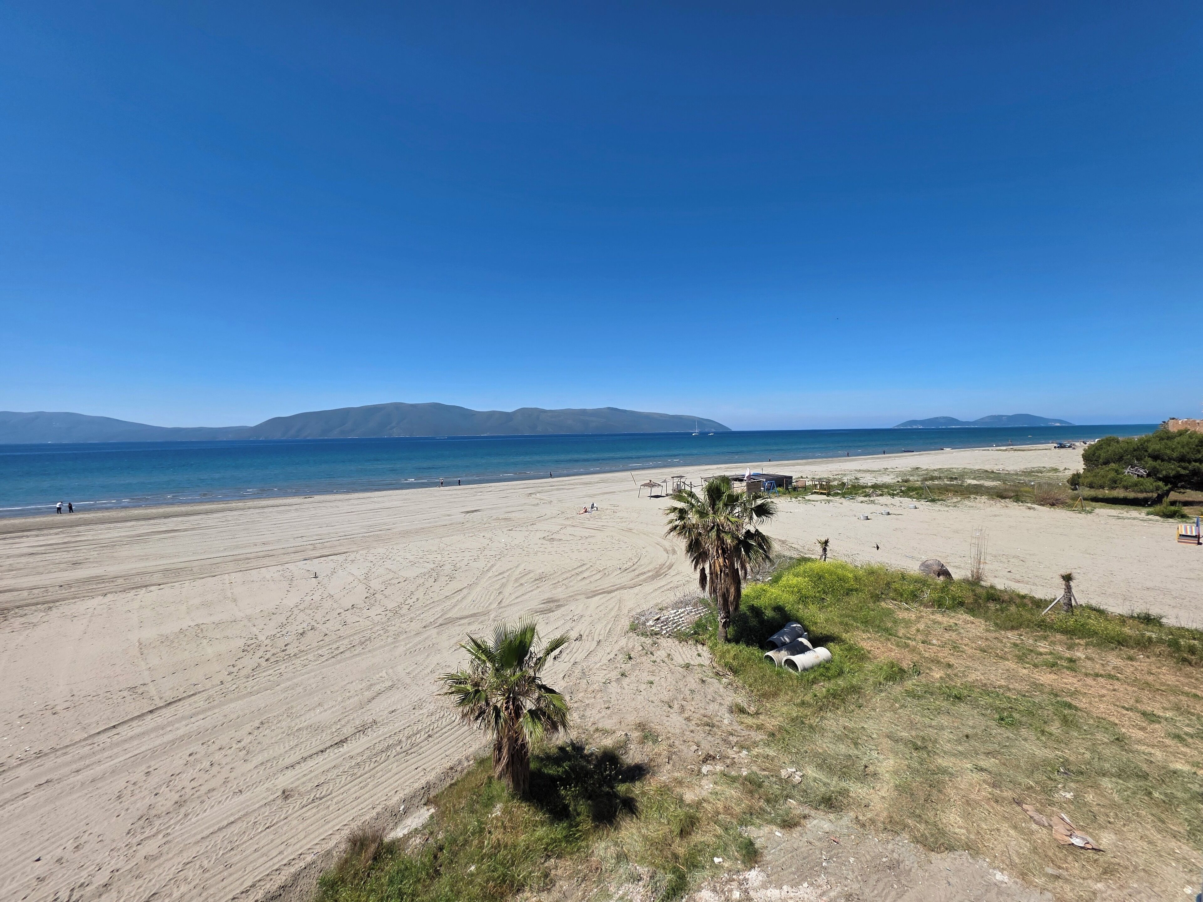 Una spiaggia con cielo sereno, montagne in lontananza e una palma.