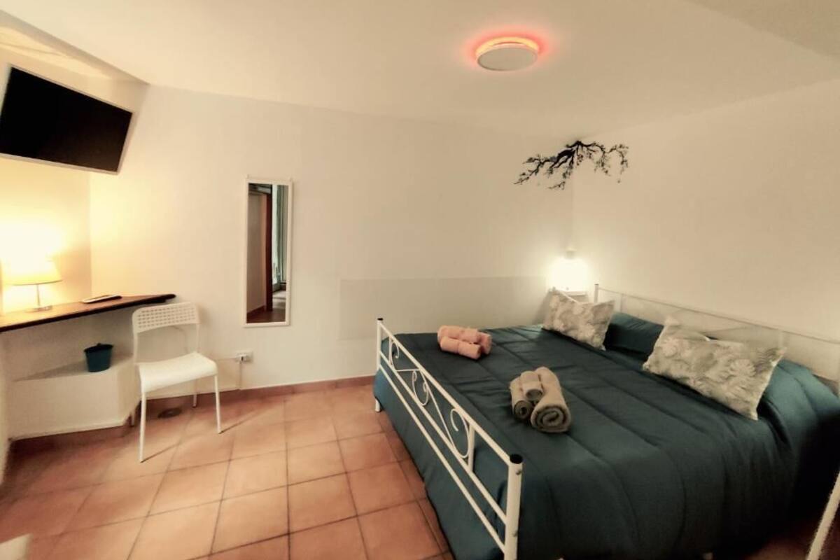 A bedroom with a bed, a desk, a chair, a TV, and a wall-mounted plant.