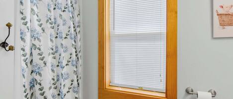 Un baño con cortina de ducha, una ventana con persianas, un dispensador de papel higiénico y un cuadro en la pared.