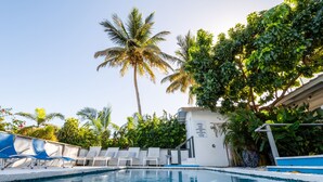 A swimming pool with lounge chairs, palm trees, and a white building with signage. - Rincon Surf Club - Beachside & Pool (Rincón)