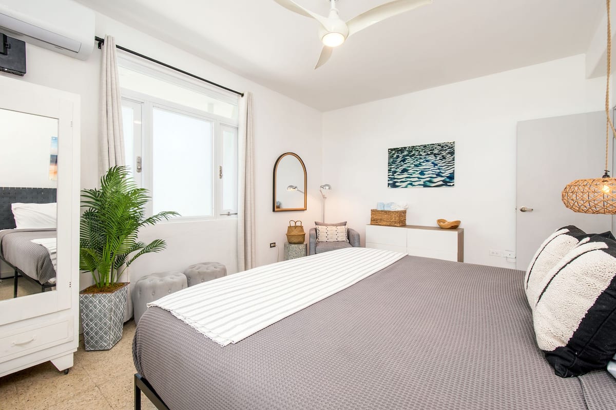 A modern bedroom with a large bed, a potted plant, a mirror, and a ceiling fan.