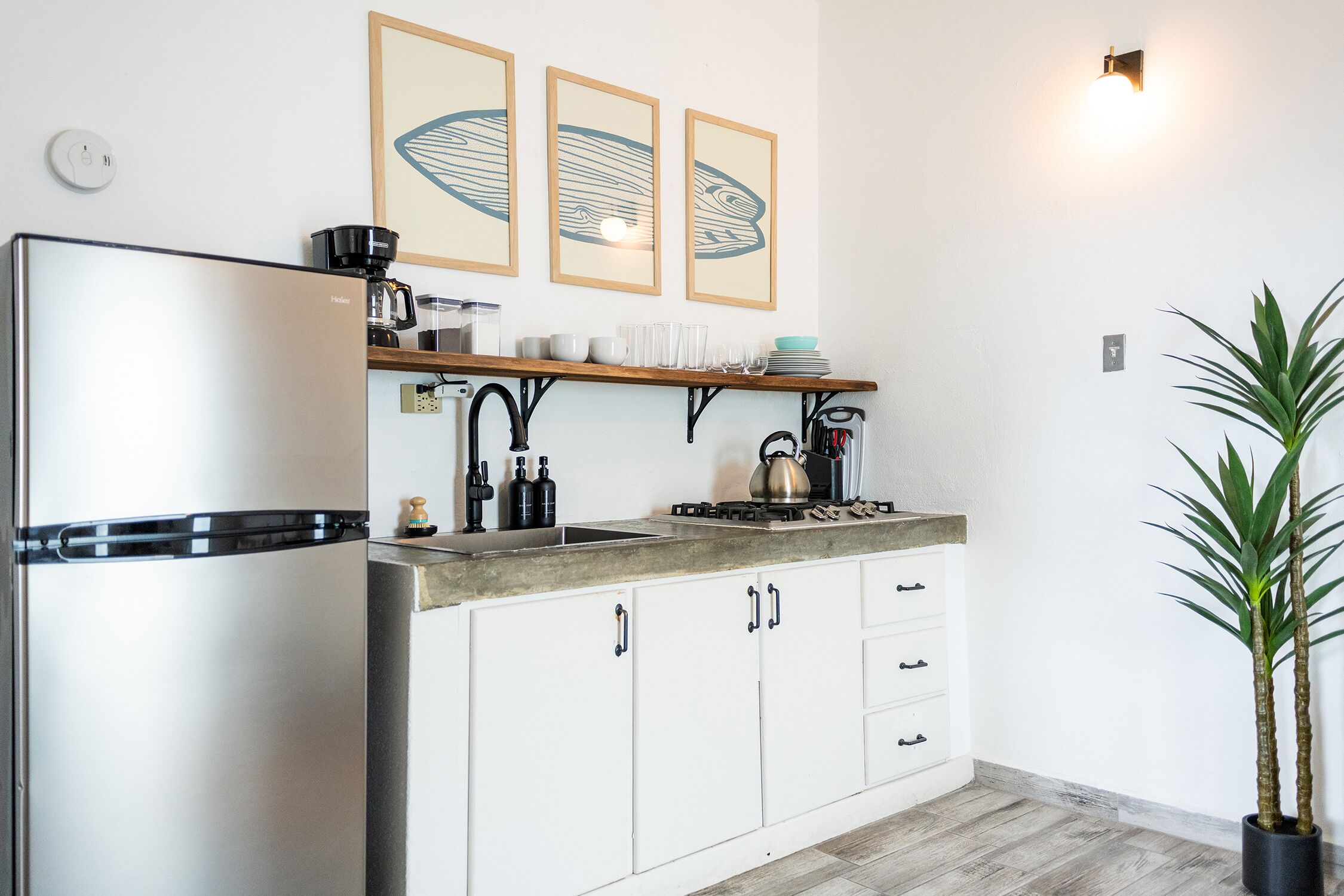 Una cocina moderna con un refrigerador de acero inoxidable, una cafetera, una estufa a gas y una planta en maceta.