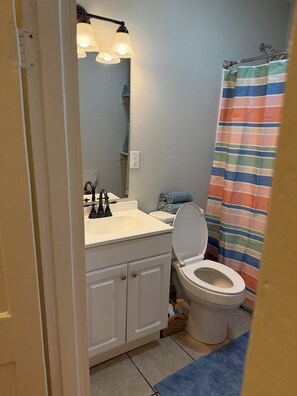 Hair dryer, towels, soap, toilet paper - Charming 2-bedroom farmhouse in enchanting Americus with AC (Americus)