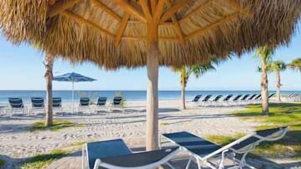 Une plage avec des chaises longues et des parasols, des palmiers et une vue dégagée sur l’océan.