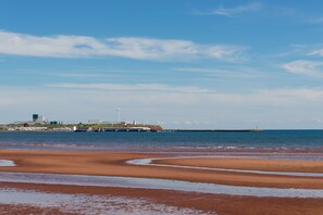 Serviettes de plage