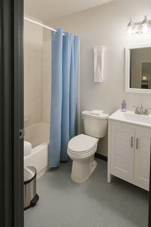Hair dryer, towels, soap, toilet paper