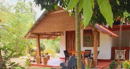 Jungle Eco Lodge & Safari