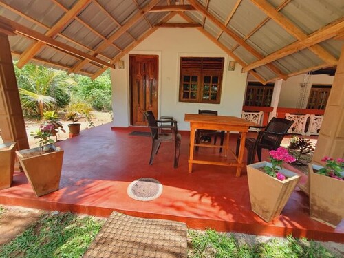 Jungle Eco Lodge & Safari 