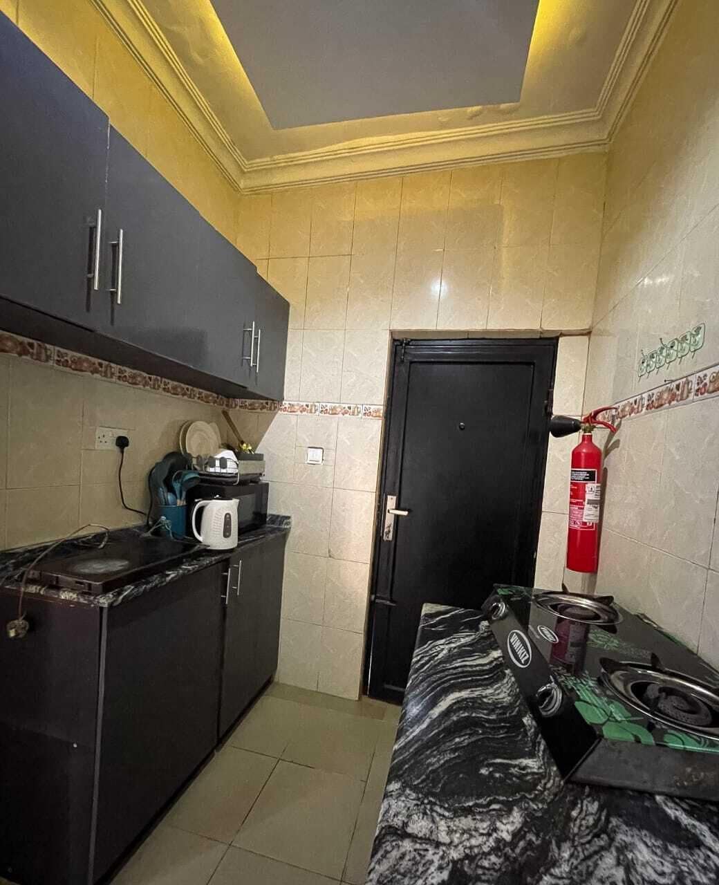 Standard Apartment, Balcony | Private kitchen