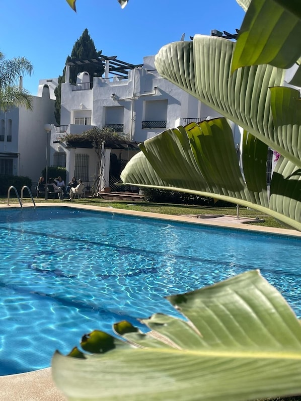 Ein Swimmingpool mit klarem, blauem Wasser, umgeben von einem weißen Gebäude mit Balkonen, und großen, grünen Blättern im Vordergrund.