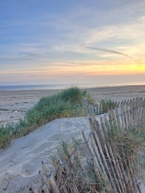 Playa