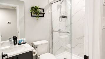 Shower, hair dryer, bidet, towels