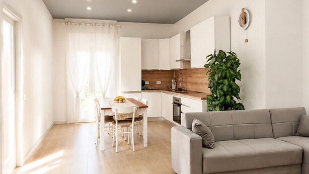 Una sala de estar moderna con un sofá gris, una mesa de comedor con sillas, una zona de cocina y una planta grande.