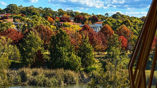 A view of a lake surrounded by trees with autumn foliage, a clear sky, and a residential area in the background.