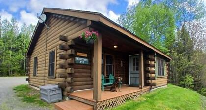 Lakeview 4 • First Lake Access • Sleeps 7 • Dock Space • On Snowmobile Trail • 3BR