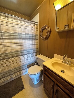 A bathroom with a toilet, a sink, a shower curtain, and a wooden vanity. - 3-bedroom house in delightful Manistee with AC for comfort (Manistee)