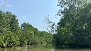 A river with trees on both sides, a dog in the water, and another dog on the shore. - Otter's Edge Estates (Vienna)